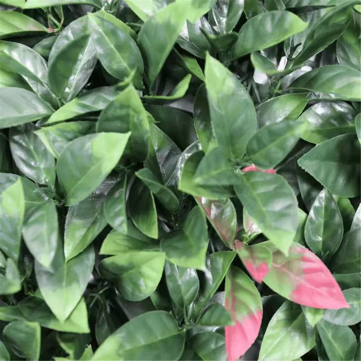 Photinia Artificial Vertical Garden Green Wall Panel 40×40in 11 SQ FT – UV Resistant – Commercial Grade factory